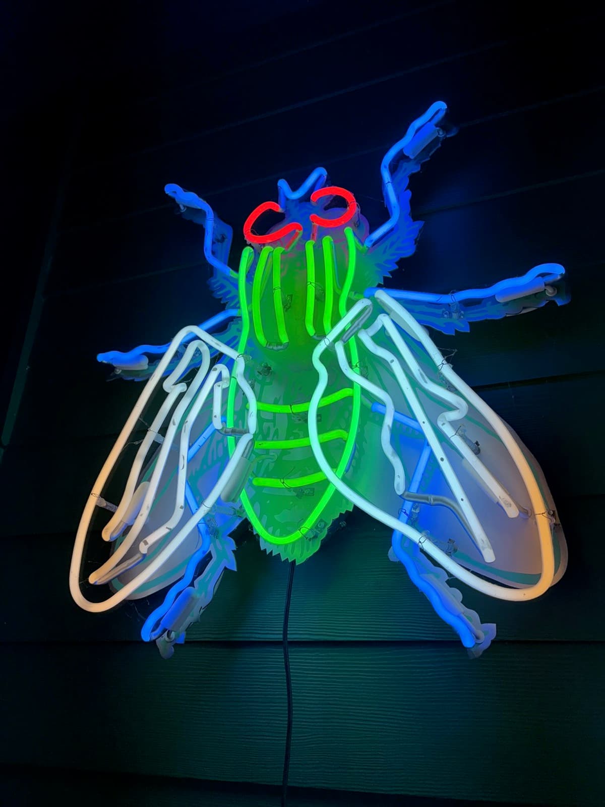 Zookeeper's neon fly sign glowing above the shop floor