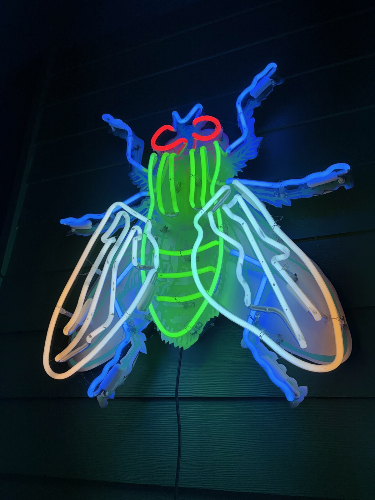 Zookeeper's signature neon fly sign glowing on the storefront
